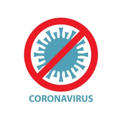 В «Сколково» научились уничтожать коронавирус