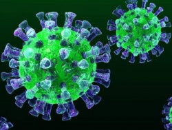 Ученые из США нашли способ уничтожить коронавирус за секунду