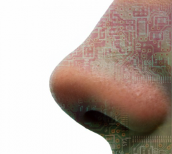 В Томске ученые изобрели «электронный нос» для диагностики болезней